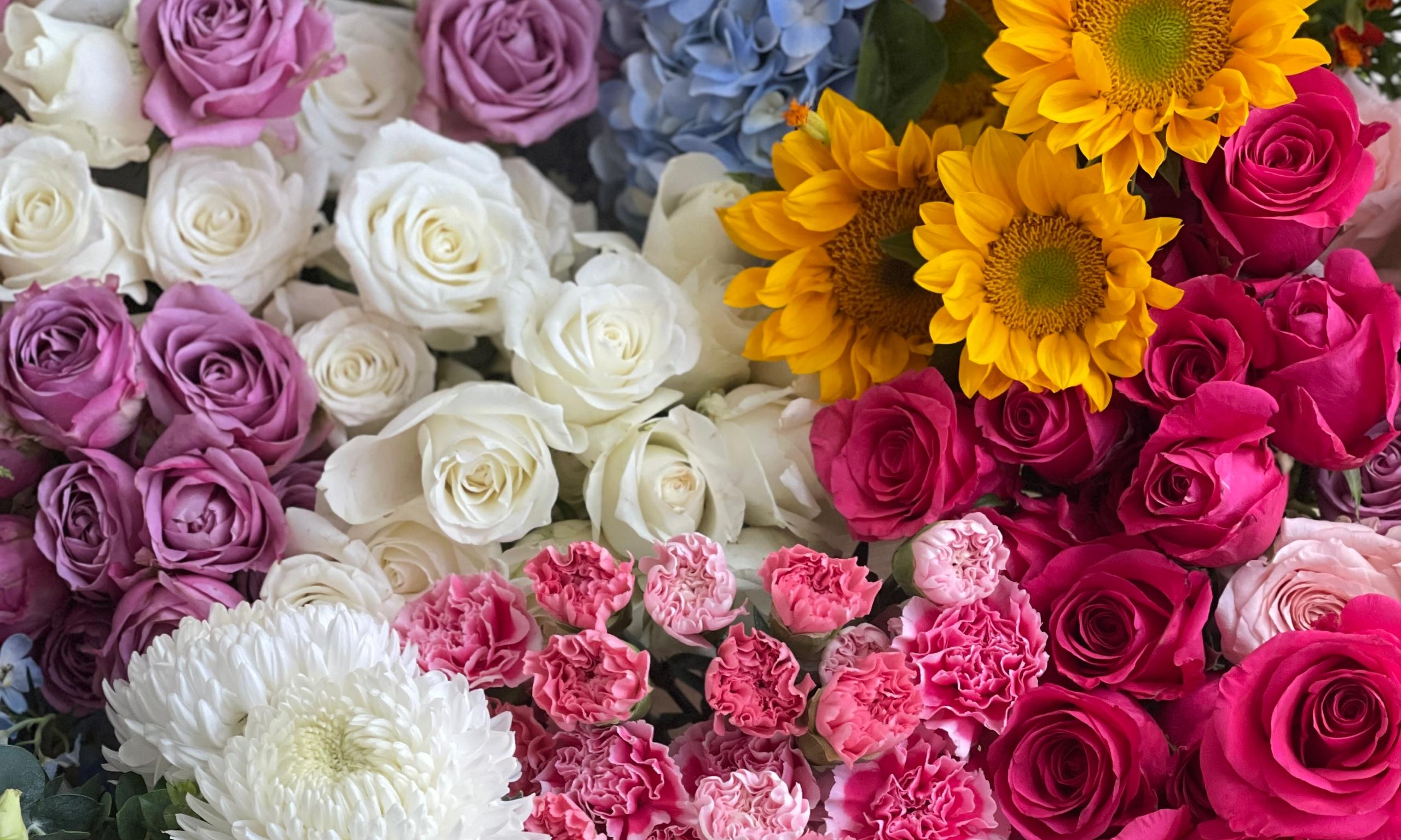 🌸 10 Rare Flower Names You Probably Haven’t Heard Of (But Will Love)
