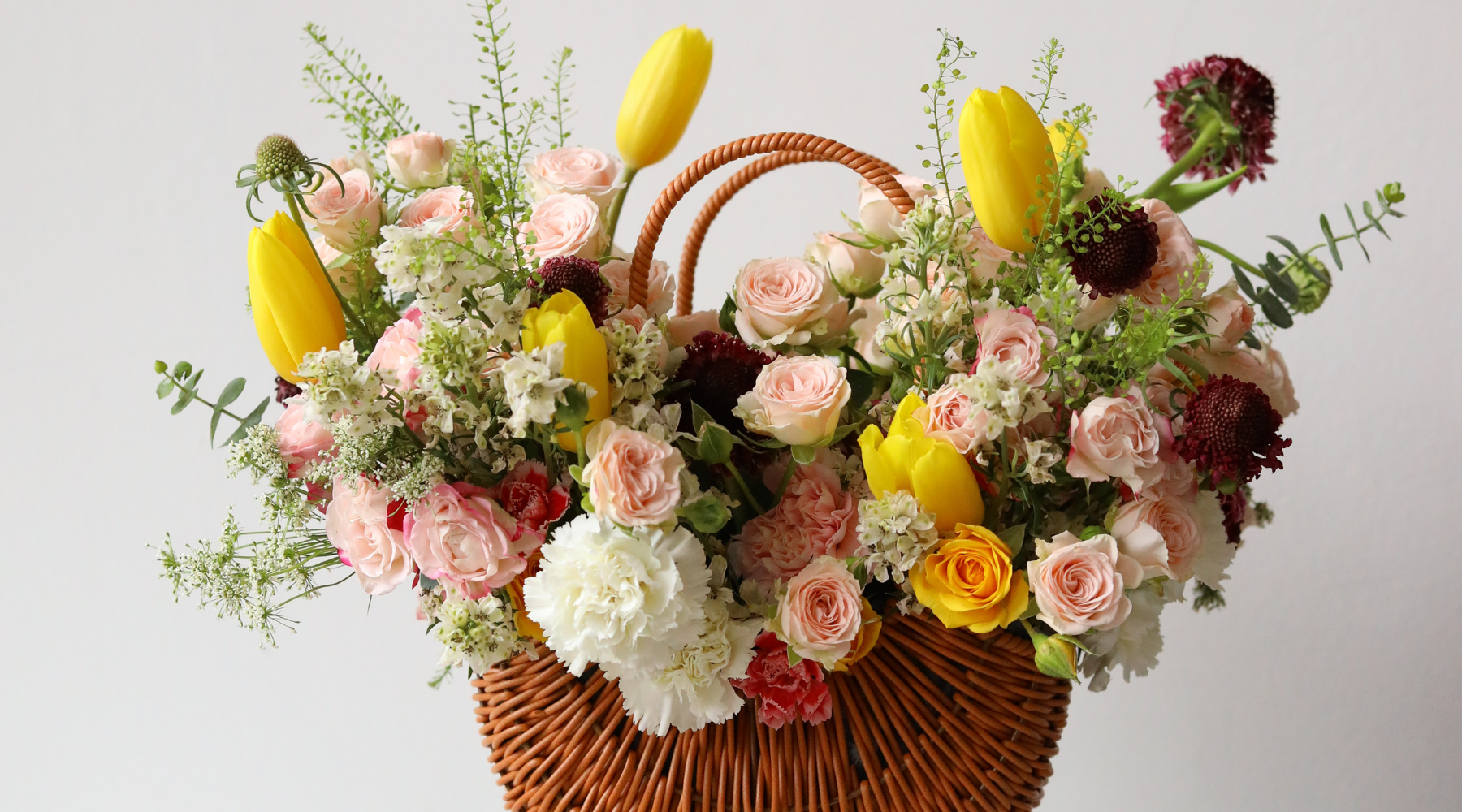 🌸 Flower Time Travelers: The Oldest, Longest-Living, and Fastest-Blooming Flowers