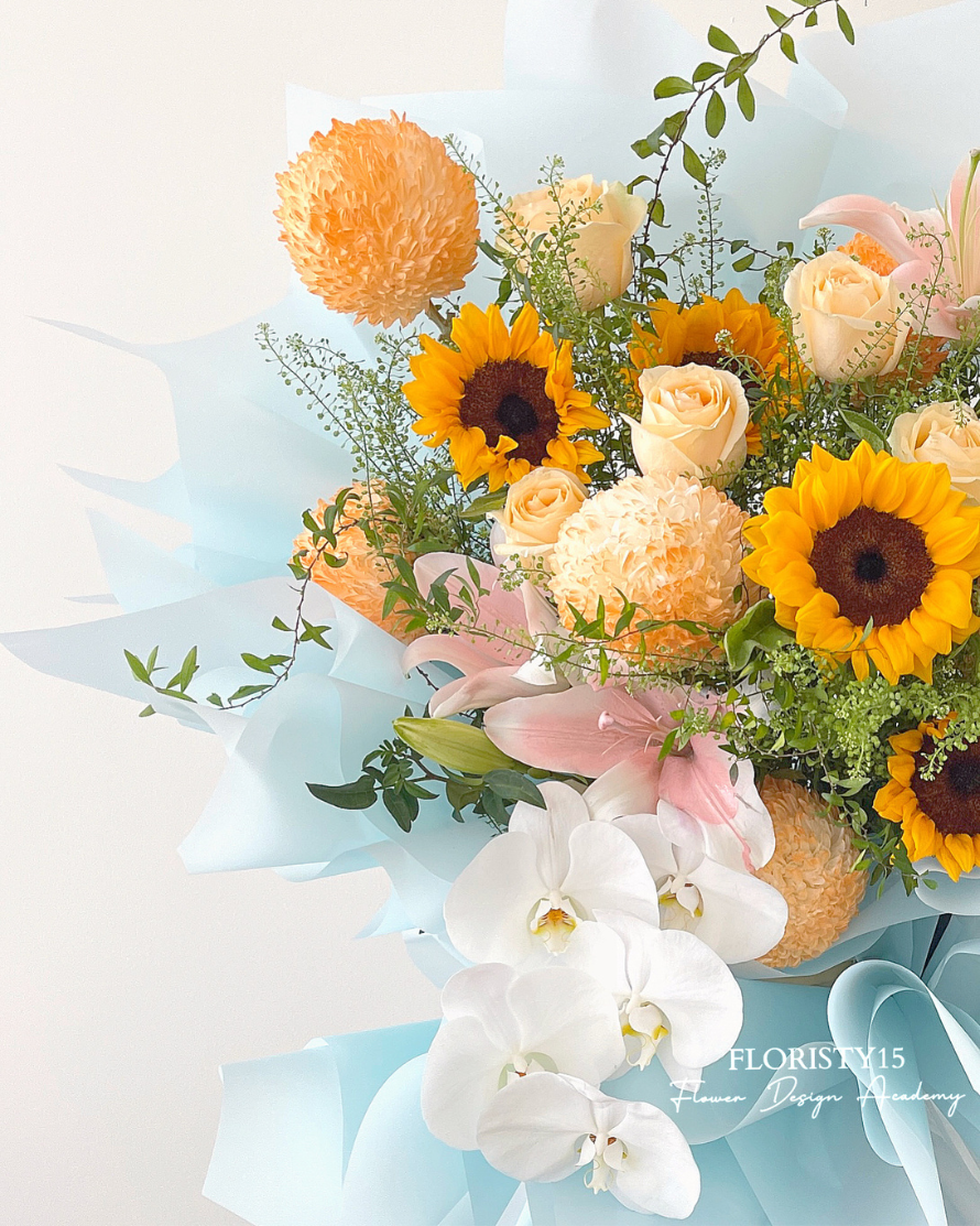 Soleil(Opening Stand)