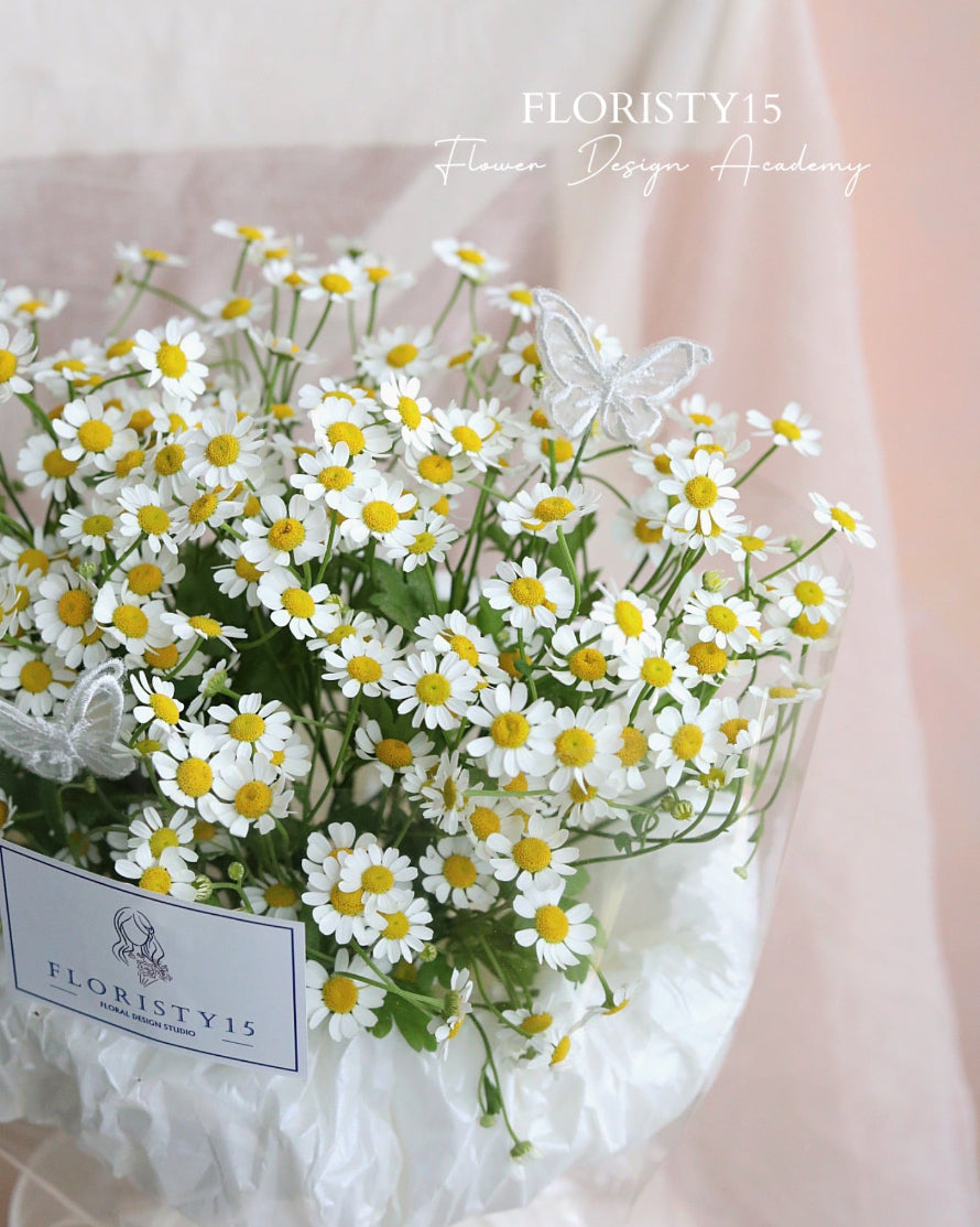 Sara (Chamomile Bouquet)
