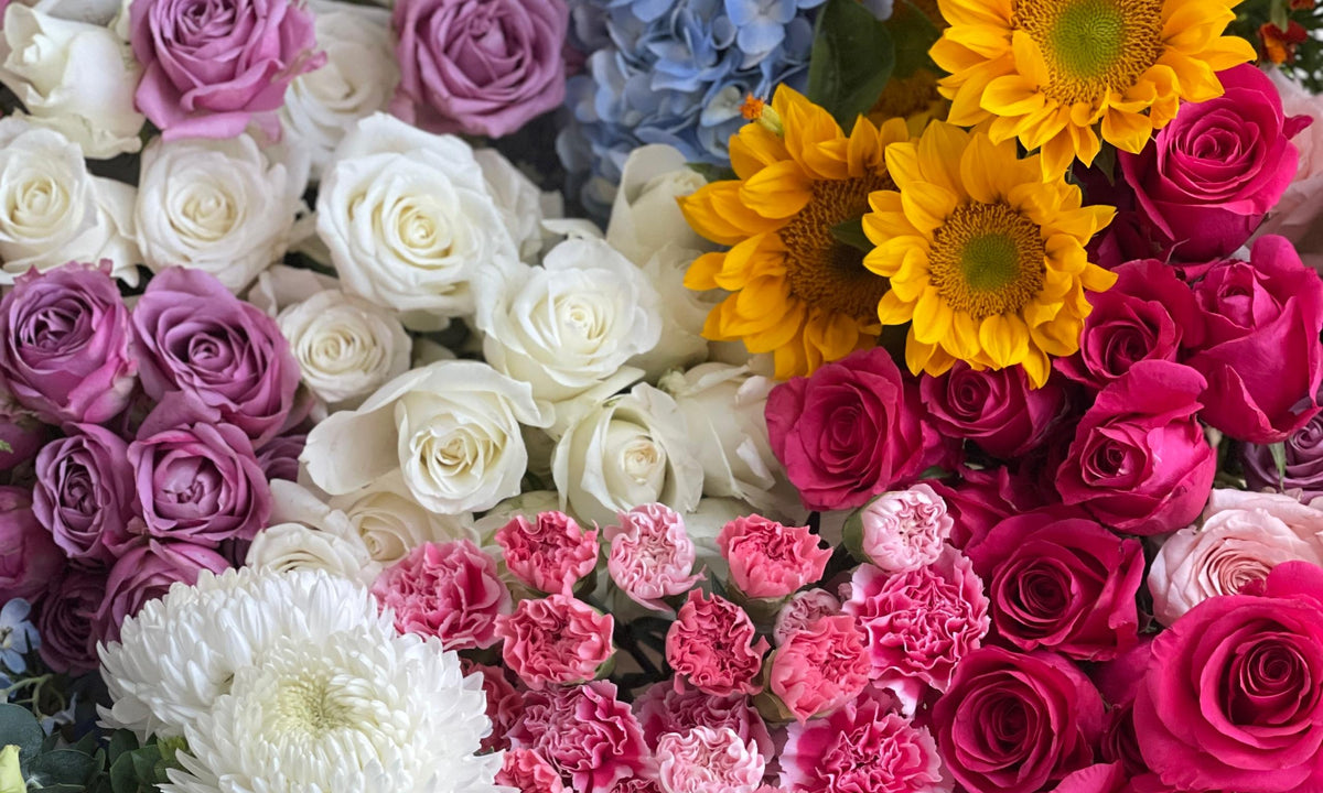 🌸 10 Rare Flower Names You Probably Haven’t Heard Of (But Will Love)