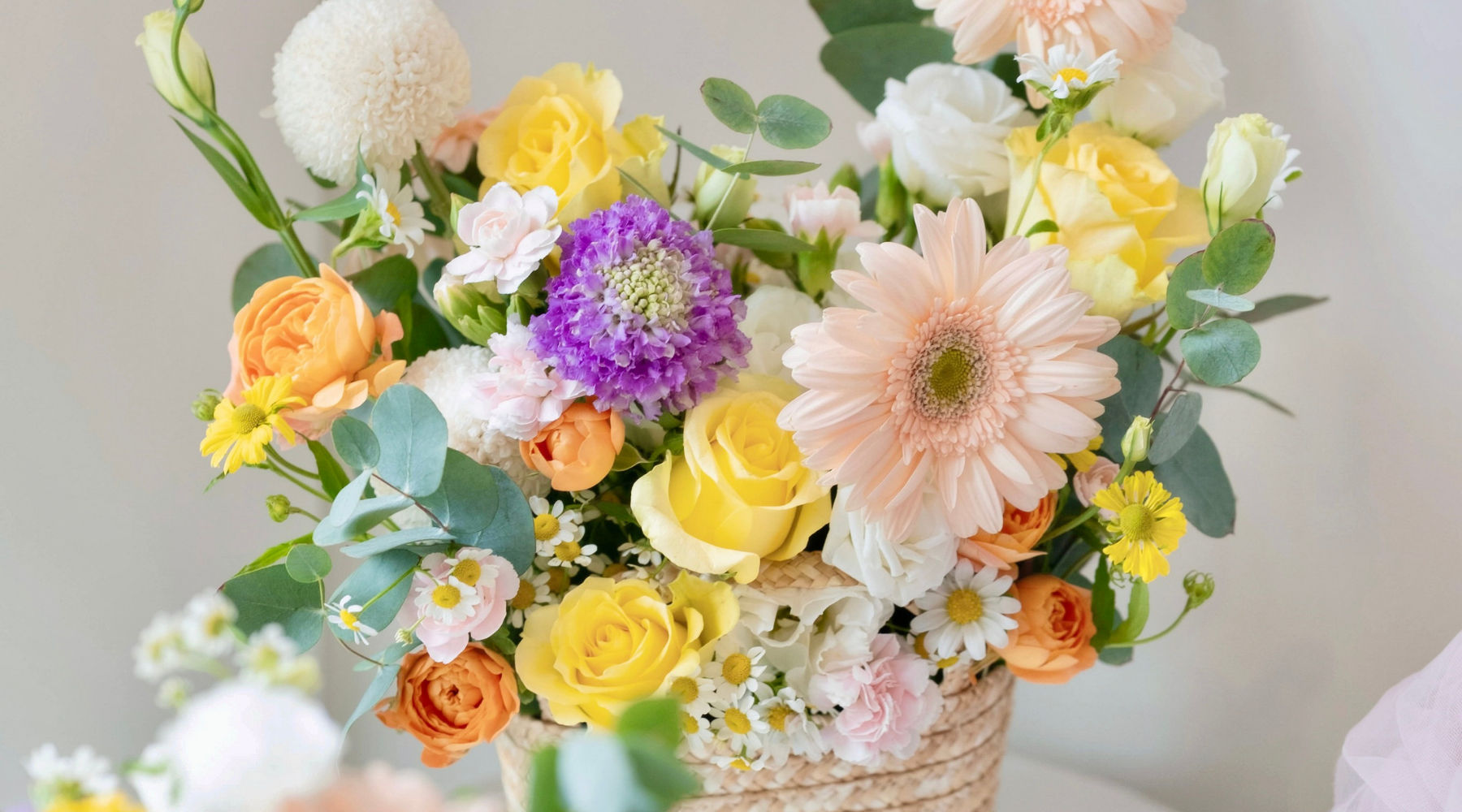 🌸 Why Some Flowers Smell Sweet—And Others Stink