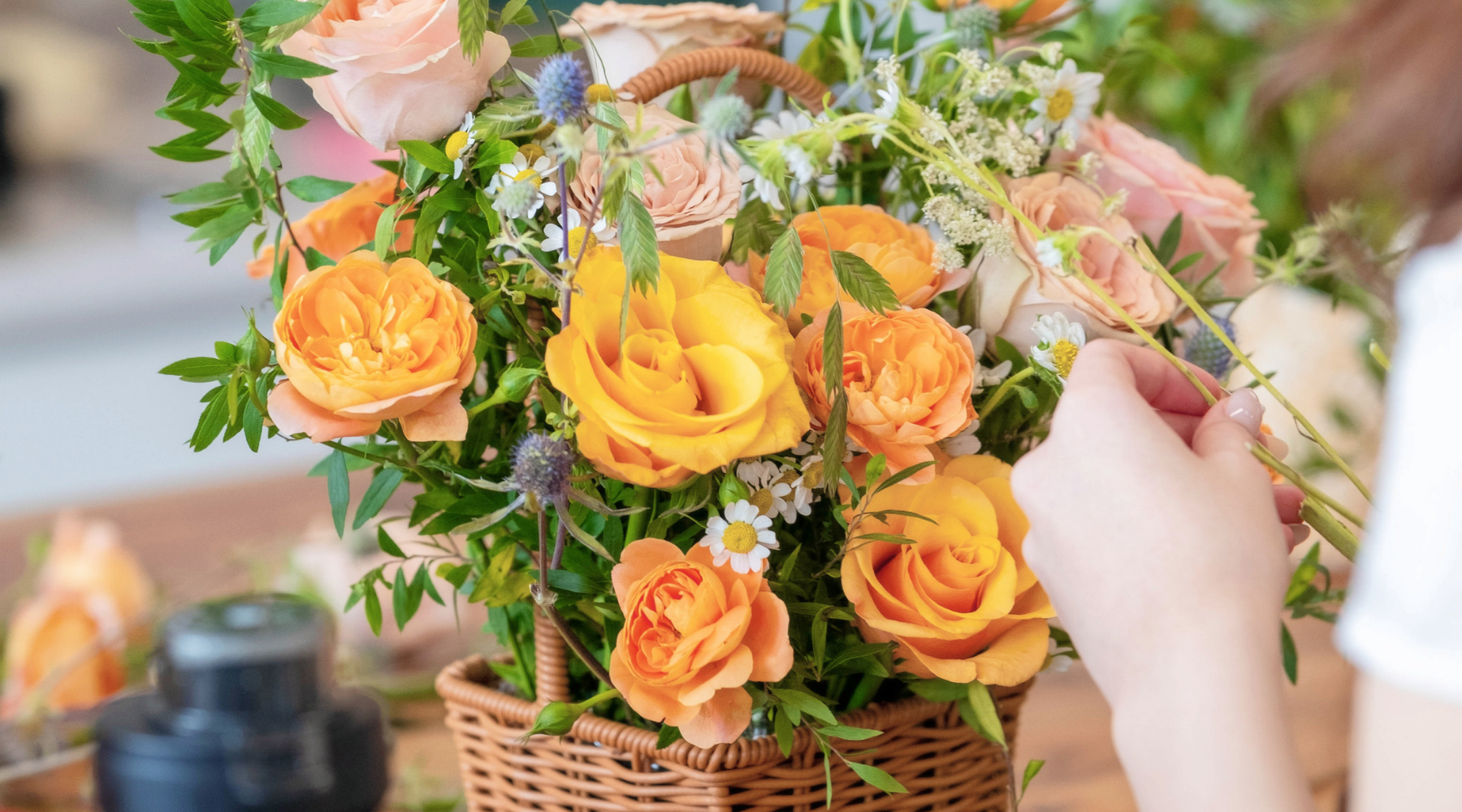 🌺 Seasonal Blooms in Malaysia: What to Expect and When