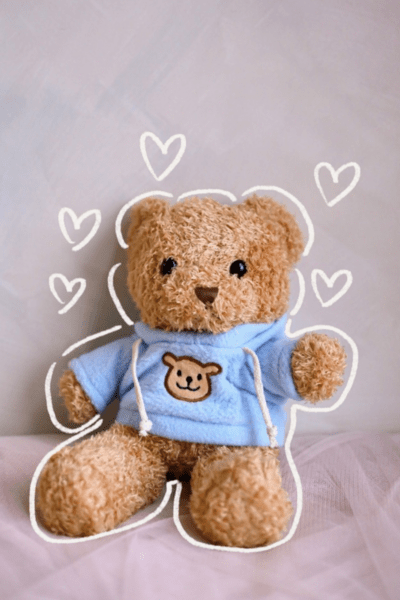 His Hoodie Bear (Soft Toy)