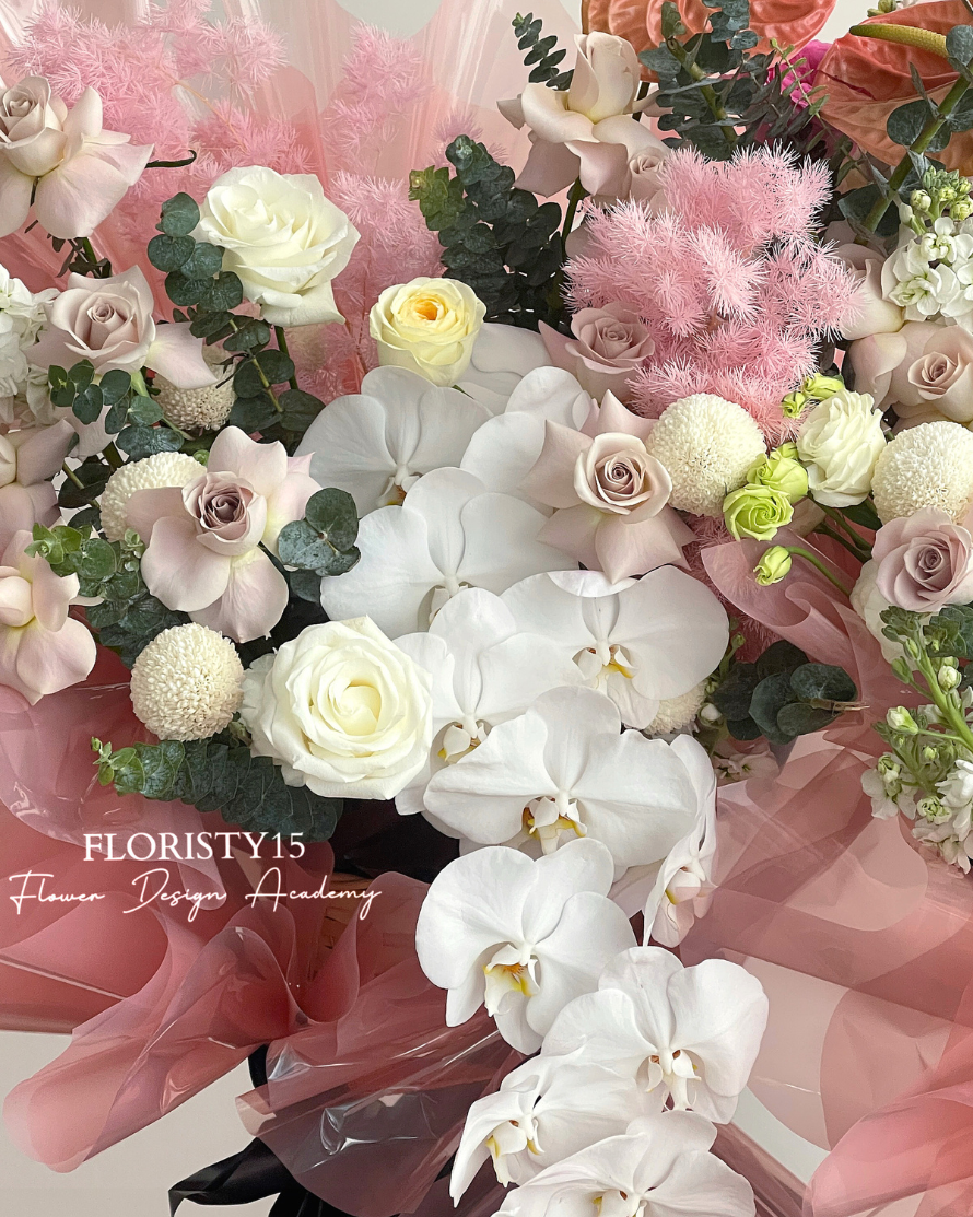 Ayame Duo (Combo Opening Stand)