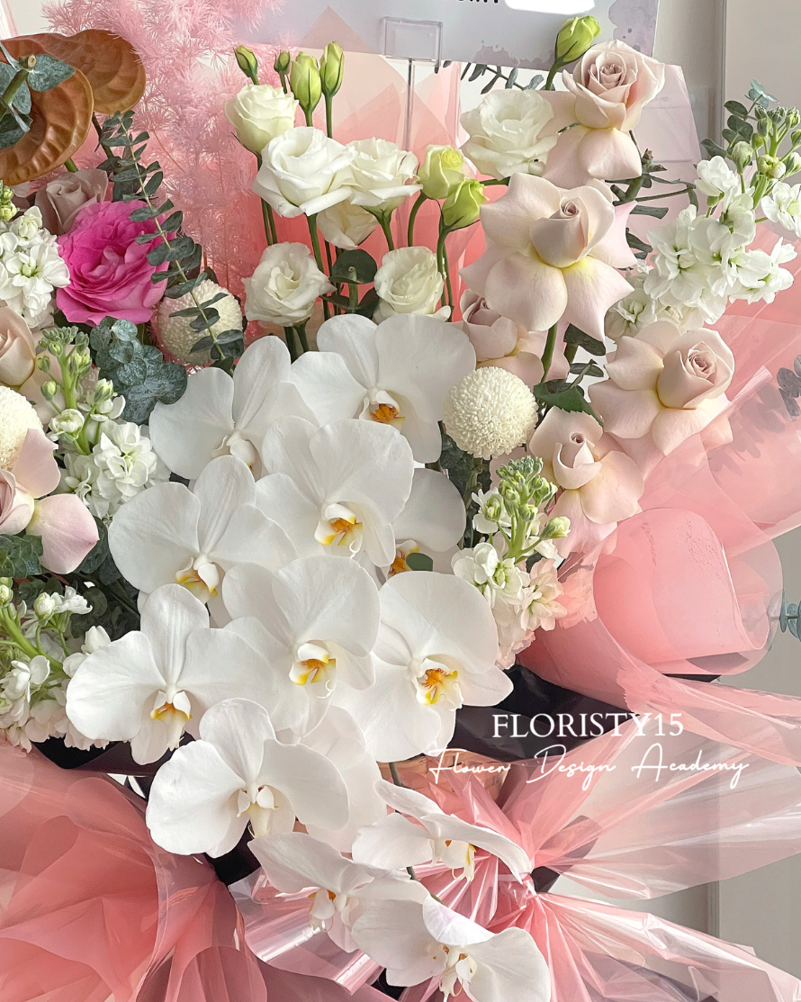 Ayame Duo (Combo Opening Stand)