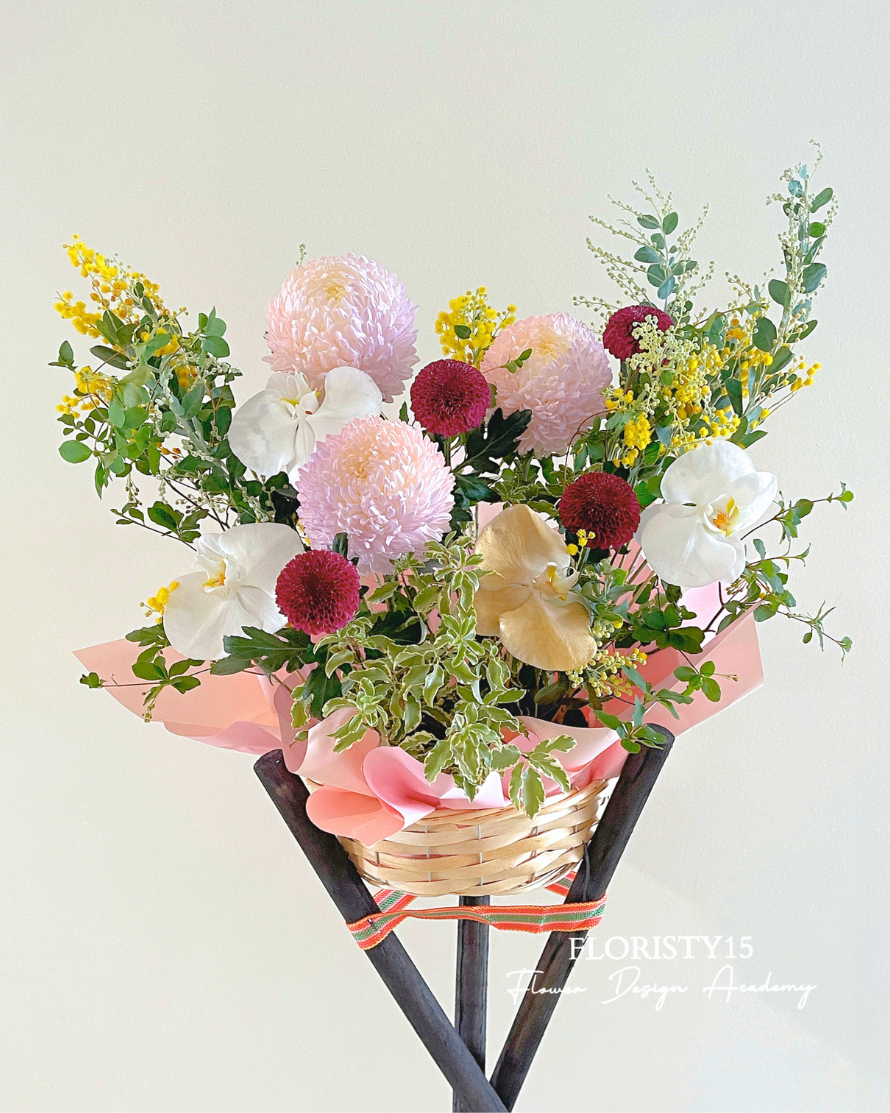 Carina (Opening Stand)