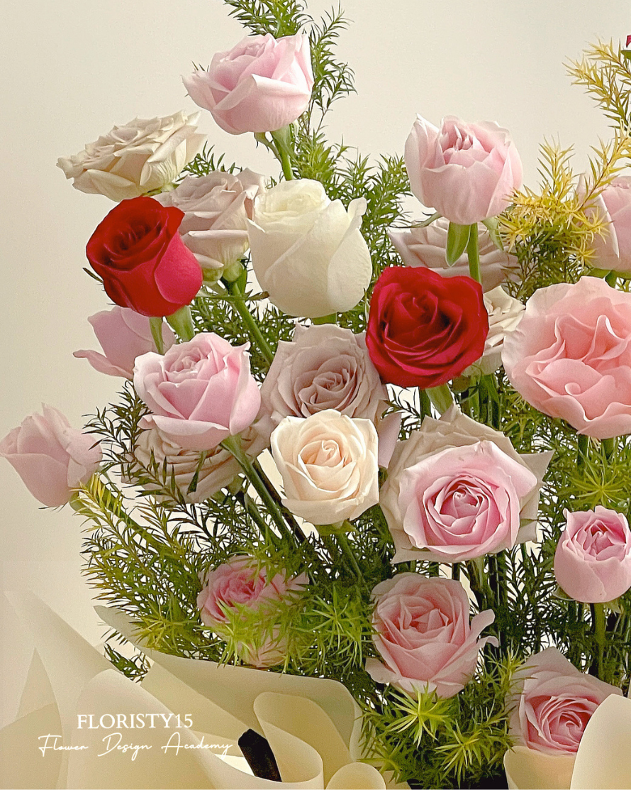 Primrose（Opening Stand)